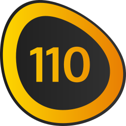 110 icon