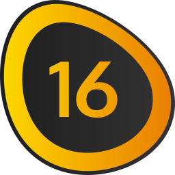 Sixteen icon