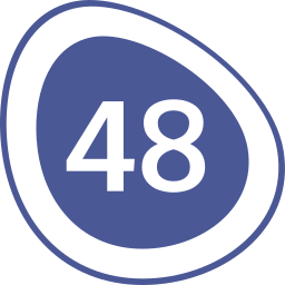 Forty eight icon