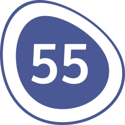 Fifty five icon