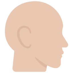 Голова иконка