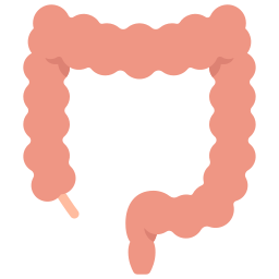 intestins Icône