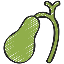 Gallbladder icon