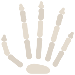 Hand bones icon
