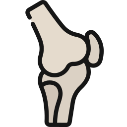 articolazione del ginocchio icona
