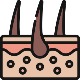 Follicles icon