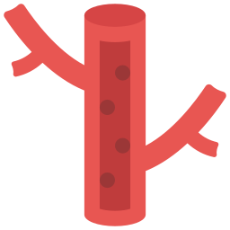 vaso sanguíneo icono