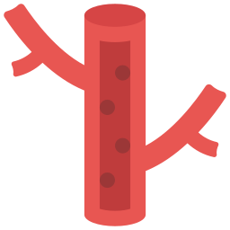 Blood vessel icon