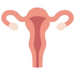 gebärmutter icon