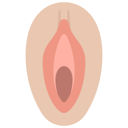 vagina icon