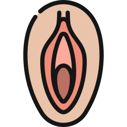 vagina icono