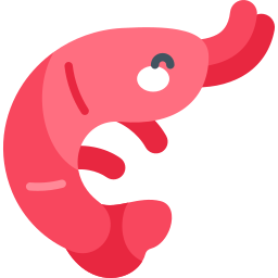 Shrimp icon