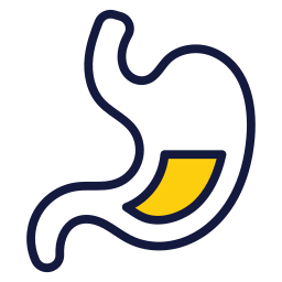 Stomach icon