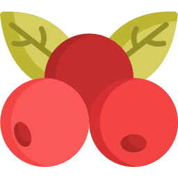 frutti di bosco icona