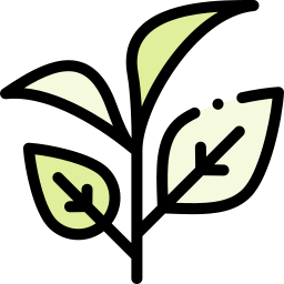 Leaves icon