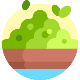 Matcha tea icon