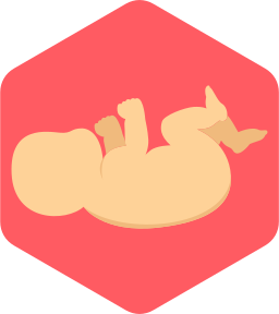 baby icoon