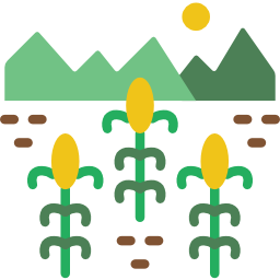 Corn icon