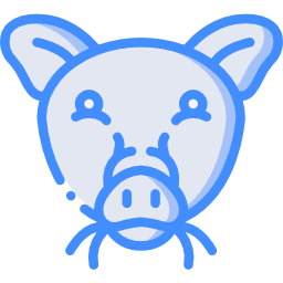 schwein icon