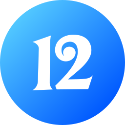 12 icon