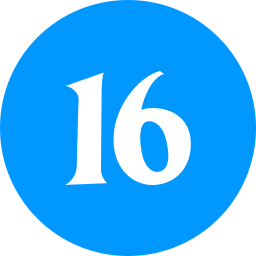 16 Icône