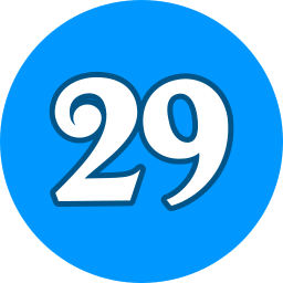 29 icon