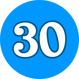 30 icon