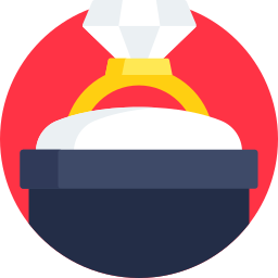 Ring icon