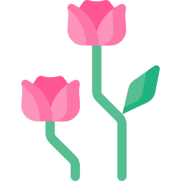 Roses icon