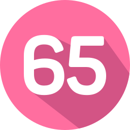 65 Ícone