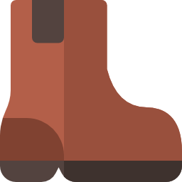 Boots icon