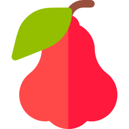 로즈 애플 icon