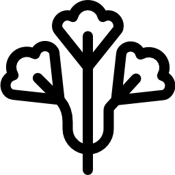 パセリ icon