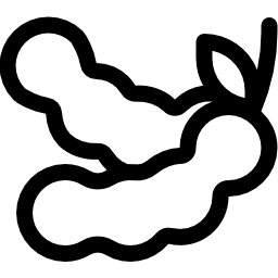 tamarinde icon
