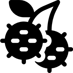 rambután icono