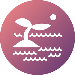 zee icoon