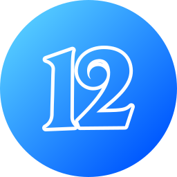 12 Icône
