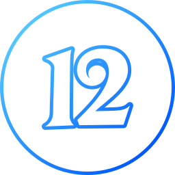12 icona