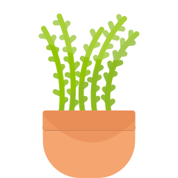植物 icon