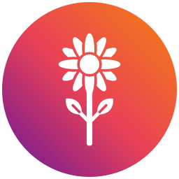 태양 꽃 icon