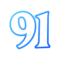 91 Ícone