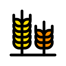 tarwe plant icoon