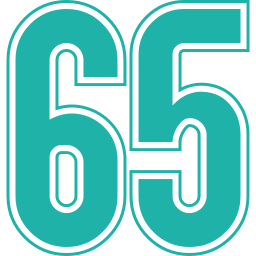 65 Ícone