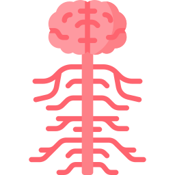 zenuwstelsel icoon