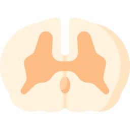 Спинной мозг иконка