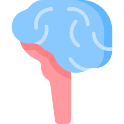 cerebellum icoon