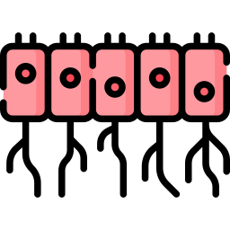 cellule ependimali icona