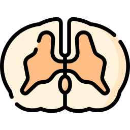 Spinal cord icon