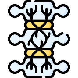 midollo spinale icona