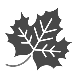 Maple leaf icon